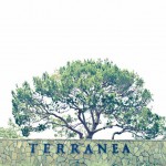 terranea-wedding