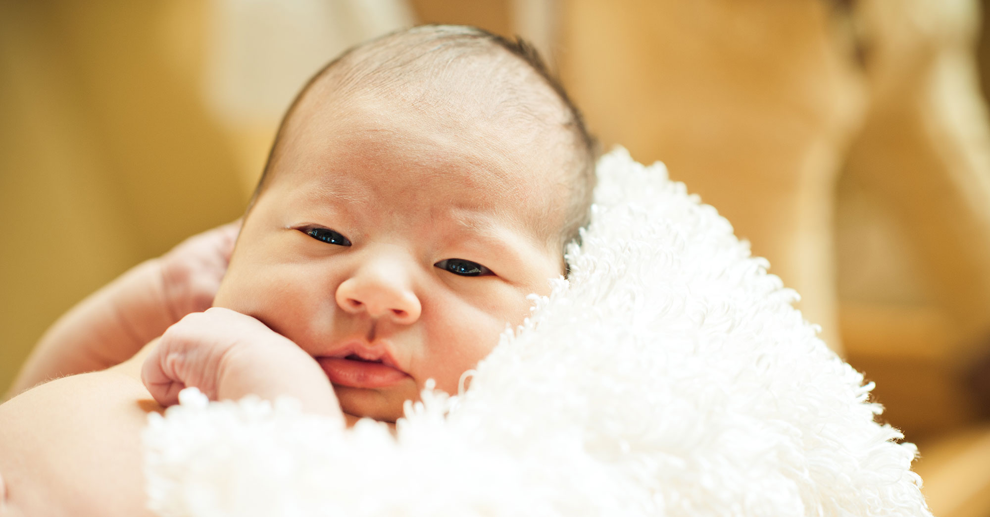 Aria’s Newborn Portraiture Session featured slider image