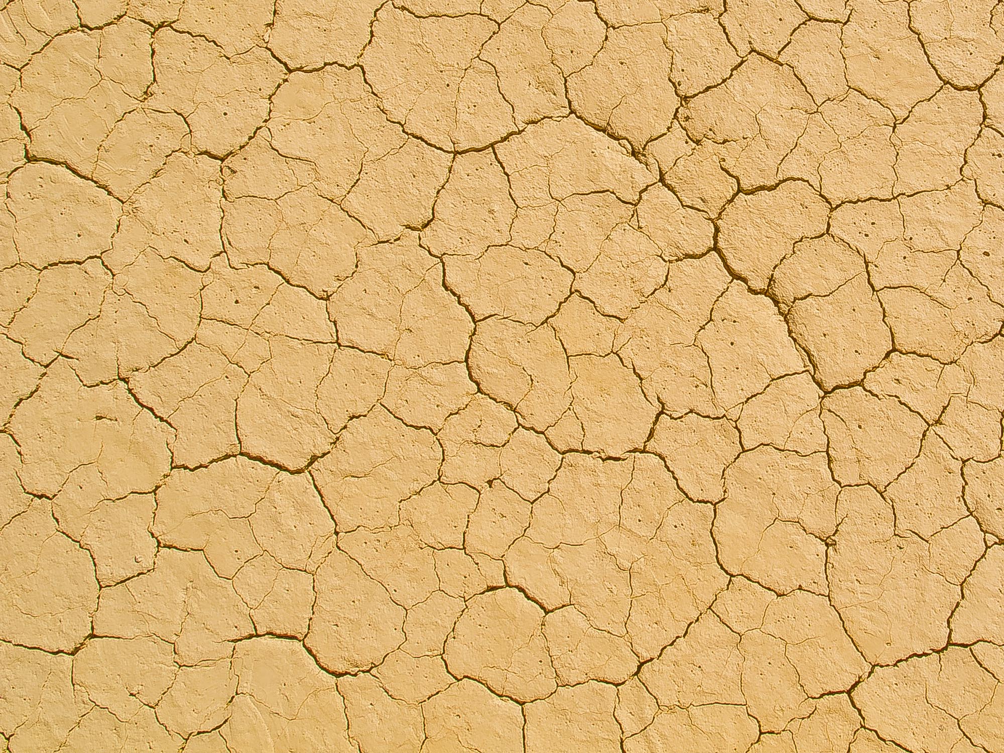 Death Valley 2014 featured slider image