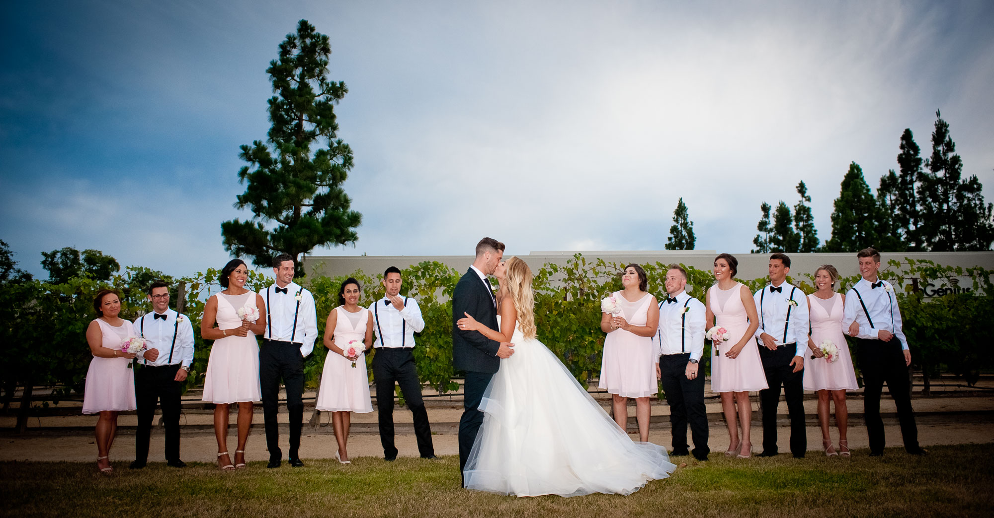 Tasha & Buddy – Turnip Rose Promenade & Gardens Wedding featured slider image