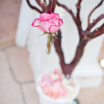 turnip-rose-promenade-and-gardens-wedding-photographer-tb-21